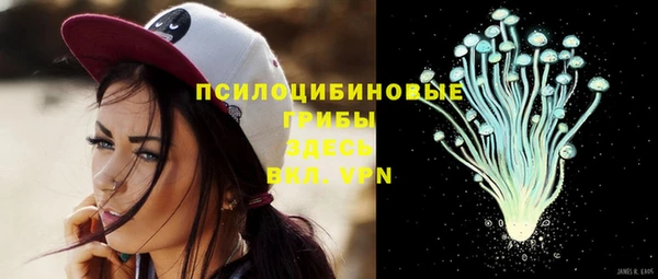 твердый Алексин