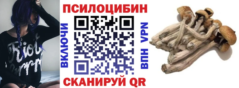 Псилоцибиновые грибы MAGIC MUSHROOMS  цены   Миньяр 
